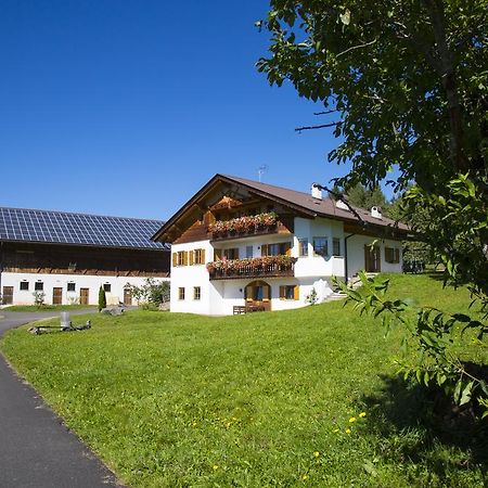 Gastreinhof Mölten Exterior foto