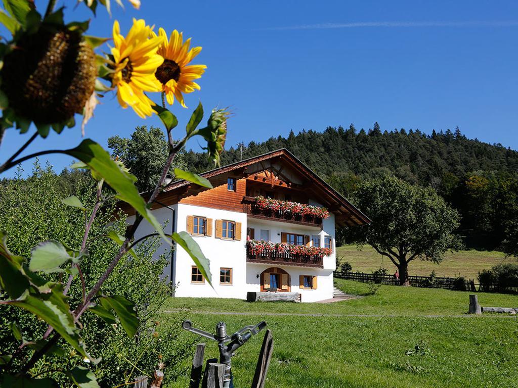 Gastreinhof Mölten Exterior foto