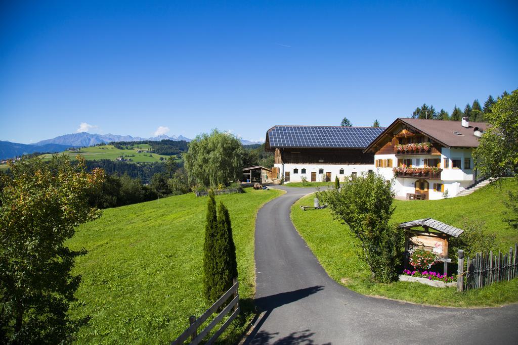 Gastreinhof Mölten Exterior foto
