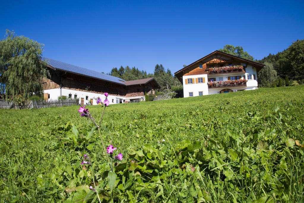 Gastreinhof Mölten Exterior foto