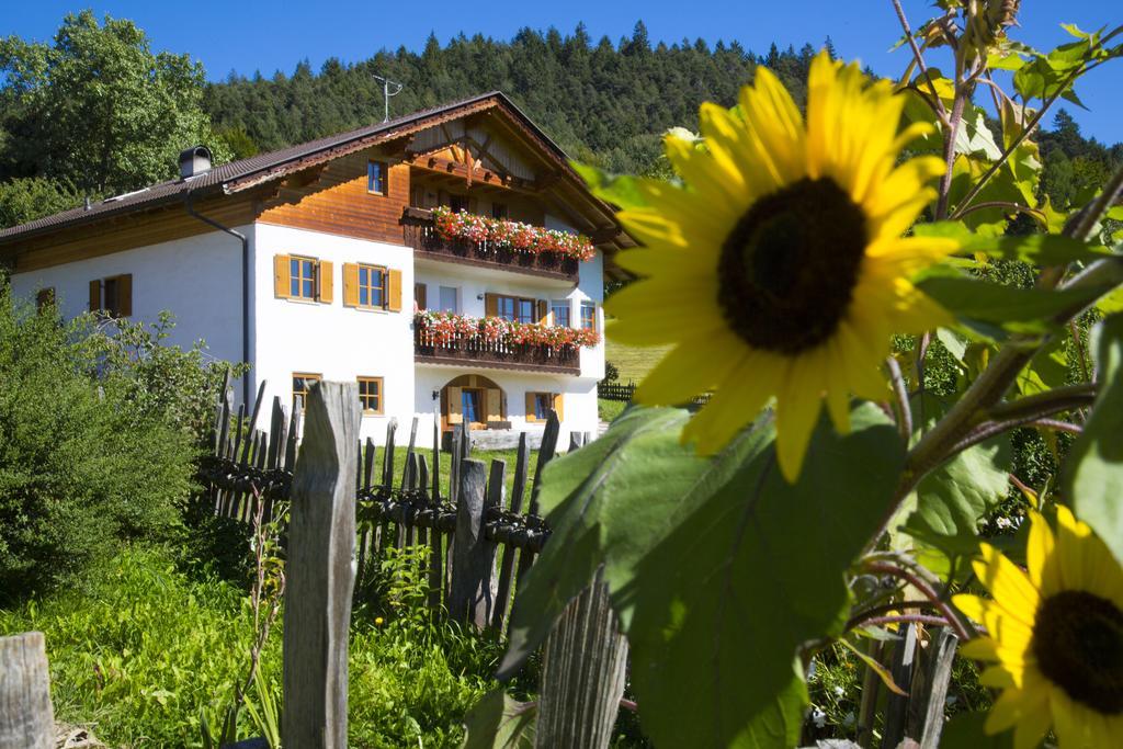 Gastreinhof Mölten Exterior foto