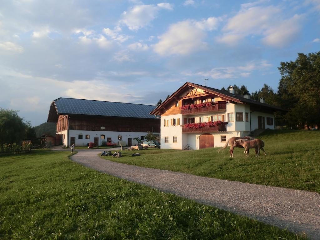 Gastreinhof Mölten Exterior foto
